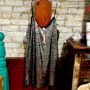 Ariat sequin dress